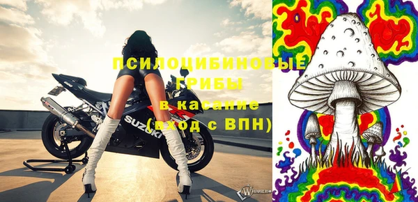 первитин Ельня