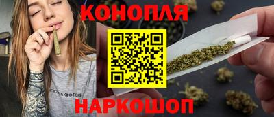 прущие грибы Лесосибирск