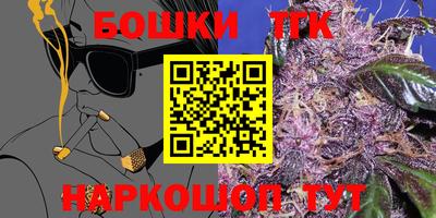 прущие грибы Лесосибирск