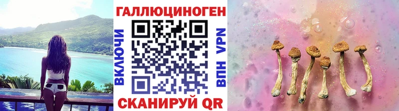 Псилоцибиновые грибы прущие грибы  Каменск-Шахтинский 