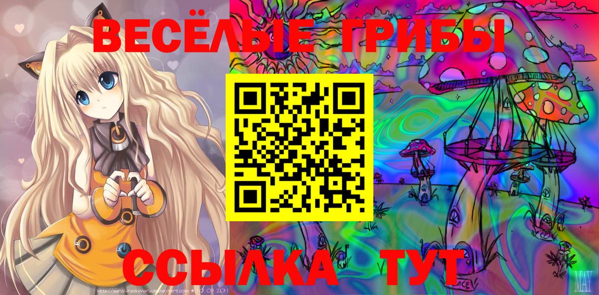 Псилоцибиновые грибы Cubensis Каменск-Шахтинский